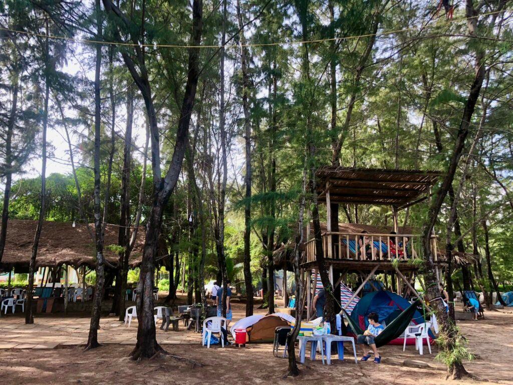 Top 5 địa điểm cắm trại ở bà rịa  vũng tàu có view cực xịn khiến giới trẻ phải đến checkin ngay  httpsdidulichazcom