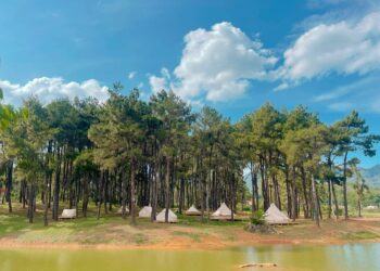 Review trải nghiệm cắm trại 2N1Đ tại Phoenix Camp Ground Mộc Châu chỉ 400k/người