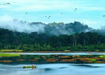 5 Địa Điểm Cắm Trại ở Bình Phước Cho Bạn Tha Hồ “Quẩy” Cùng Hội Bạn Thân