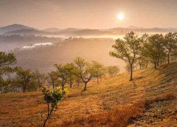 Bật mí 5 địa điểm cắm trại view đẹp tại Lâm Đồng