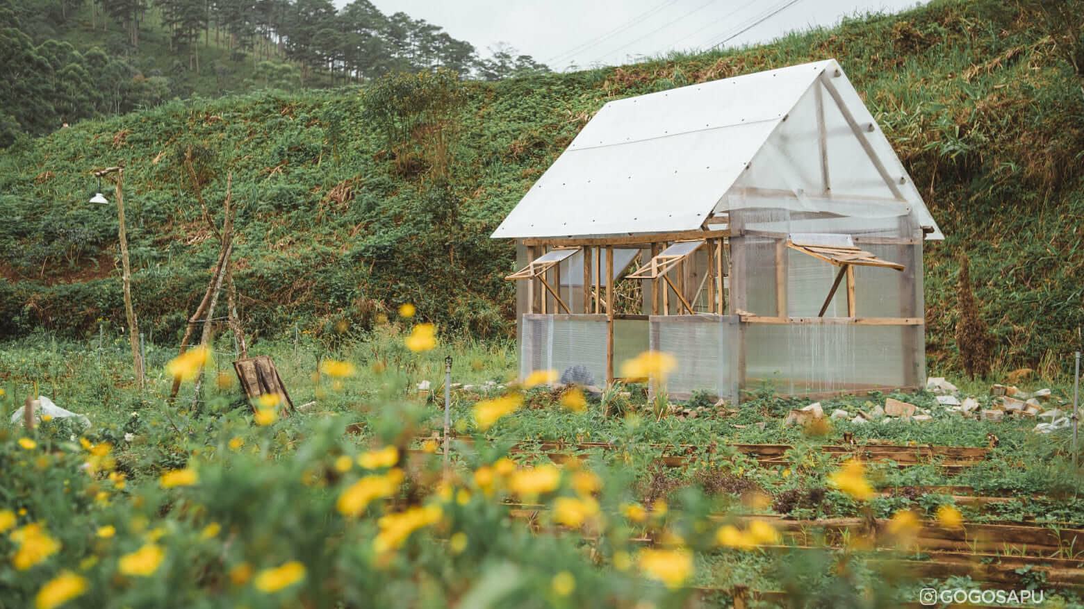 Sống chậm giữa thiên nhiên - Cắm trại tại Dalat Camp