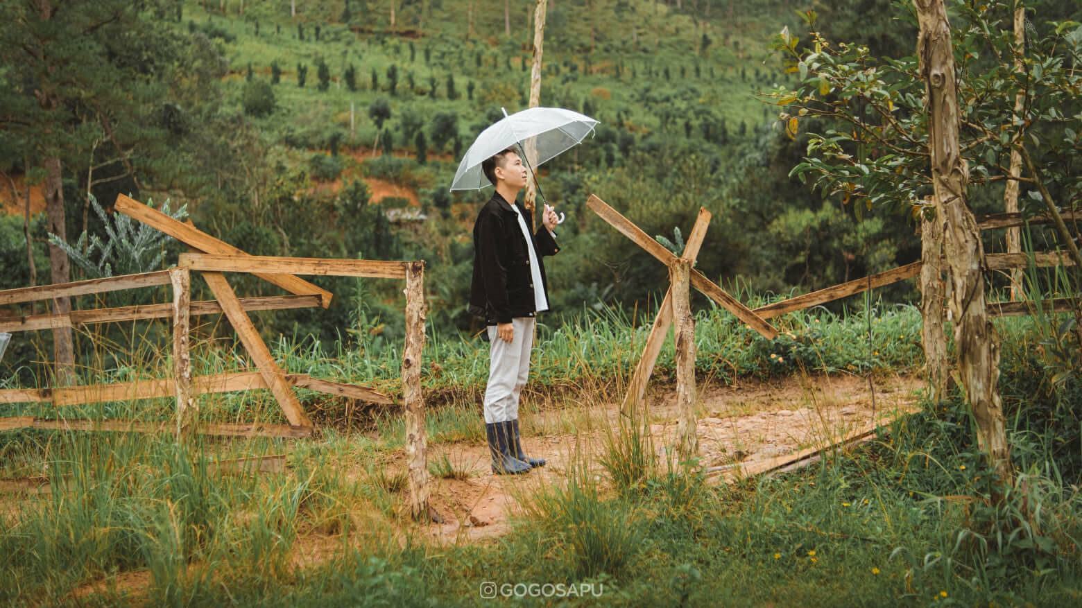 Sống chậm giữa thiên nhiên - Cắm trại tại Dalat Camp