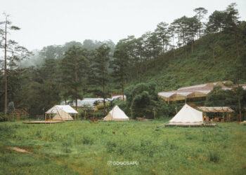Sống chậm giữa thiên nhiên - Cắm trại tại Dalat Camp