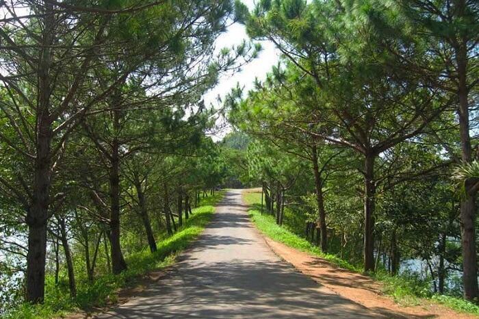 Mách bạn 5 địa điểm cắm trại view siêu đẹp ở Kon Tum 5 6 16
