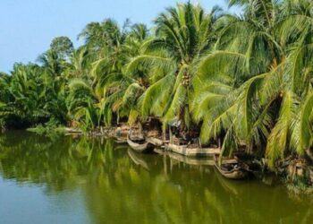 Đi camping ở Bến tre đừng bỏ qua 3 địa điểm checkin cảnh đẹp