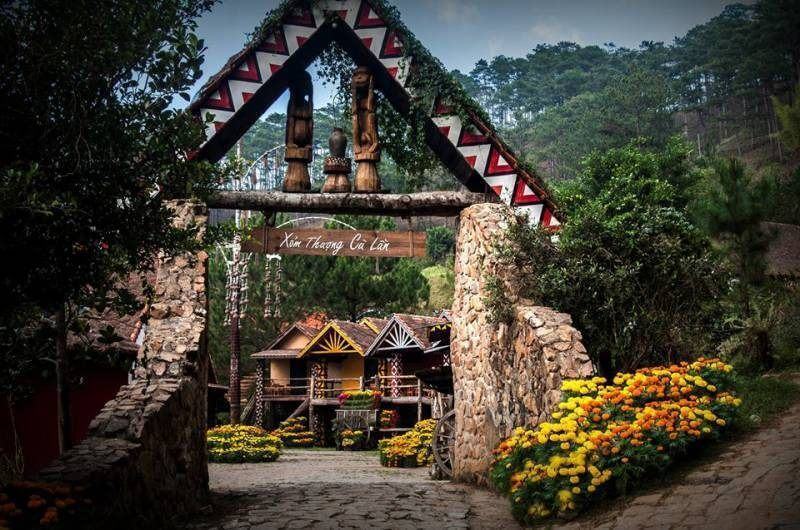 Bật mí 5 địa điểm cắm trại view đẹp tại Lâm Đồng 7 9 10
