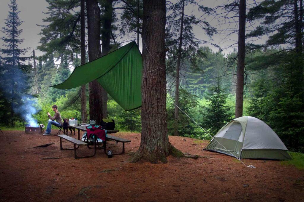 Algonquin camping