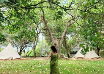 Check-in ngay khu cắm trại Tropical EGlamping mới mở ở Đồng Nai cực "chill"!