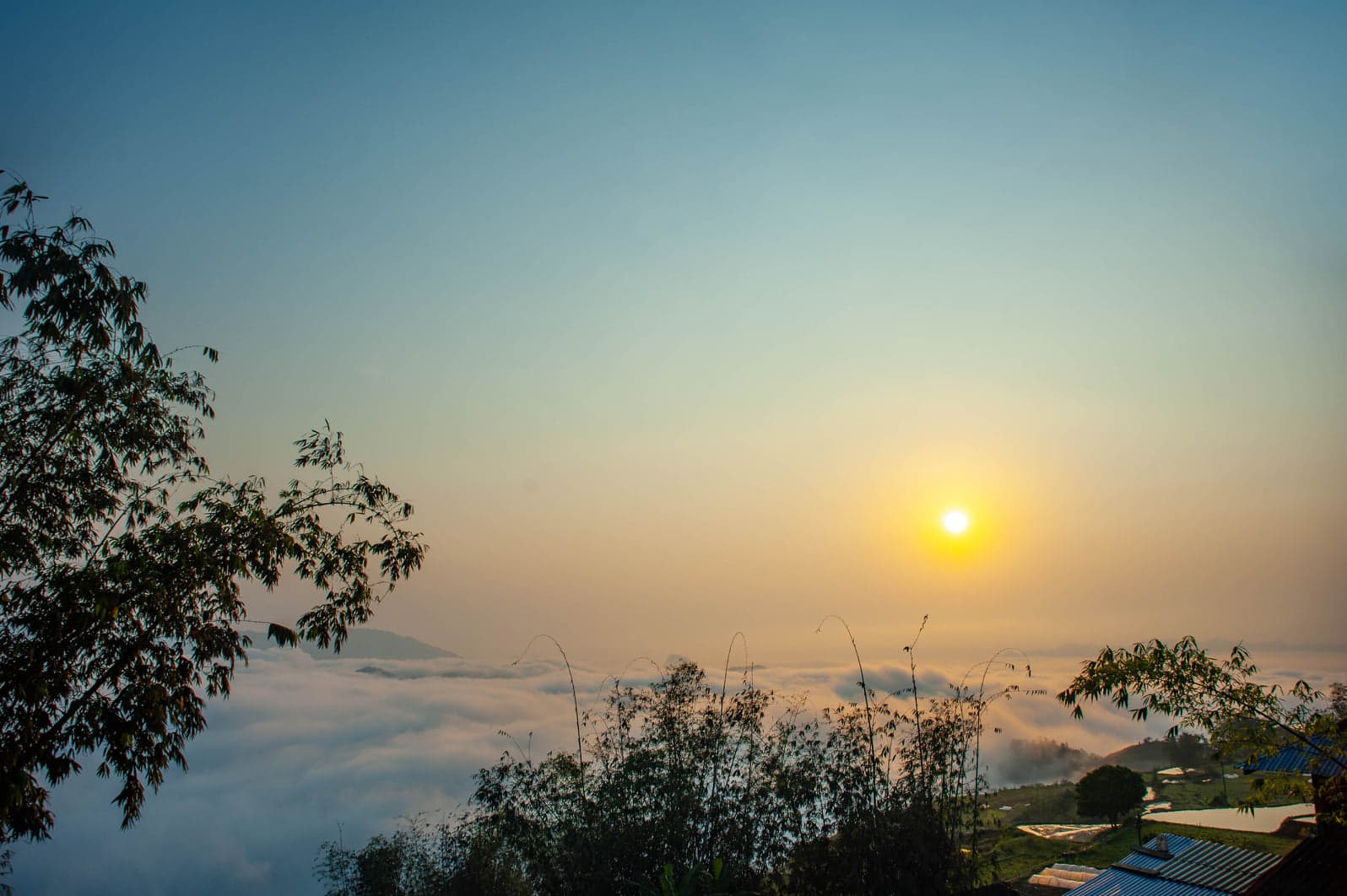 Nà Bai Campsite: Một hành trình khám phá thiên nhiên rừng già 9 Nà Bai Campsite: Một hành trình khám phá thiên nhiên rừng già