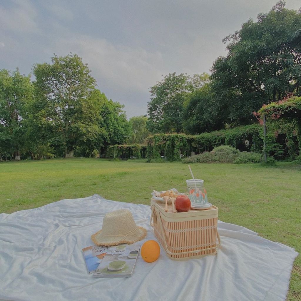 Những Điểm Camping Qua Đêm Gần Hà Nội: Trải Nghiệm Mới Lạ và Thú Vị 13 Những điểm camping qua đêm gần Hà Nội