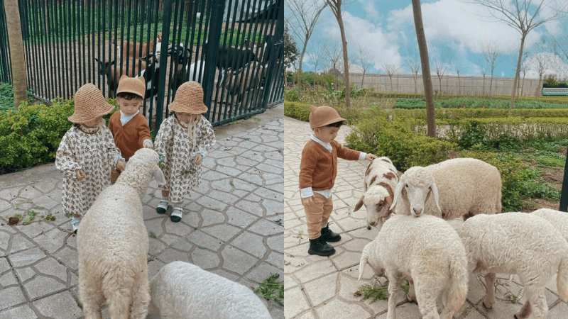 Ở Hà Nội nhưng có thể bạn chưa biết điểm camping Phù Đổng Green Park Gia Lâm 3 Ở Hà Nội nhưng có thể bạn chưa biết điểm camping Phù Đổng Green Park Gia Lâm