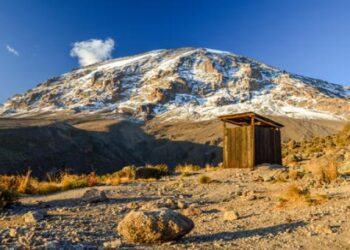 Hướng Dẫn 4 Bước Đơn Giản Đi Vệ Sinh Khi Đi Cắm Trại