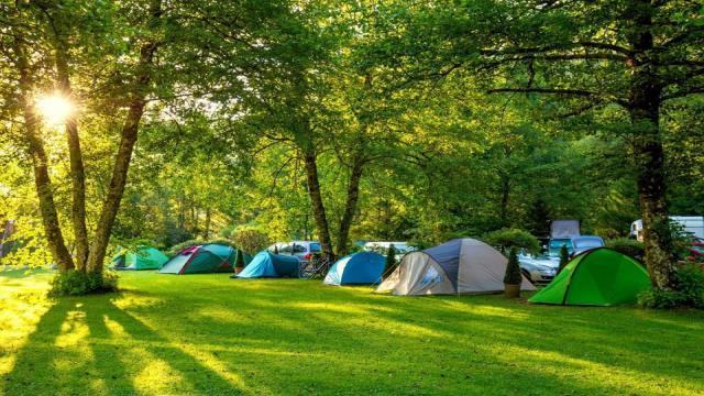ecopark 2 c%E1%BA%AFm tr%E1%BA%A1i h%C3%A0 n%E1%BB%99i