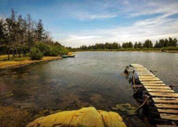 Top 7 địa điểm cắm trại gần Sài Gòn cho trải nghiệm cực chill