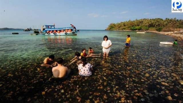 Rạn san hô ở Hòn Hai Bờ Đập