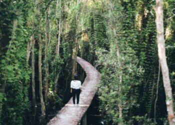 Review khu du lịch Vàm Sát từ A-Z