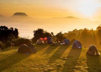 Khám Phá TOP 8 Địa Điểm Cắm Trại Ba Vì Có View Đồi Thông