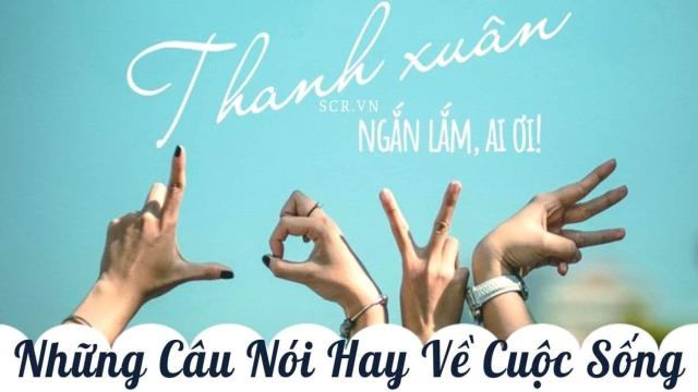 cau noi cua cac phuot thu