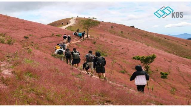Tà Năng - con đường trekking đẹp nhất Việt Nam