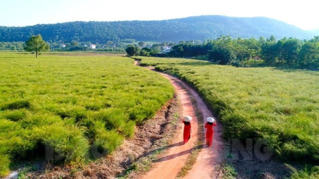 chup anh da ngoai o hai duong