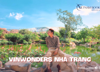 Tour du lịch Nha Trang Đà Lạt 5 ngày 4 đêm | Hành trình vi vu "Lên rừng xuống biển"