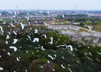 Những Địa Điểm Cắm Trại Không Thể Bỏ Qua ở Hưng Yên