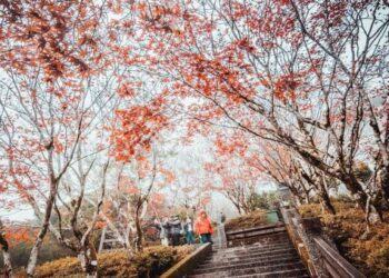 Du lịch Đài Loan Taiwan Tự Túc – Cần Phải biết 8 điều này