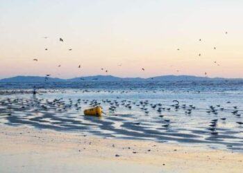 25 điểm du lịch Hàn Quốc mùa hè được checkin nhiều nhất