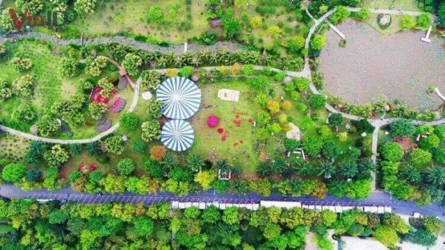 Công viên Mùa Xuân tại Ecopark