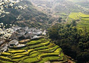 Kinh nghiệm du lịch An Huy Trung Quốc