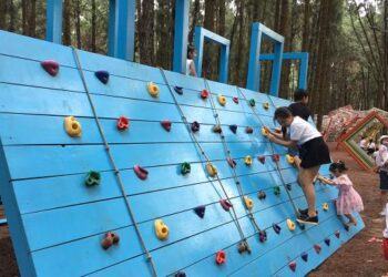 Đi chơi Flamingo Đại Lải 1 ngày: Trải nghiệm tuyệt vời tại khu nghỉ Flamingo