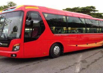 Du lịch Đồng Tháp mùa nước nổi: Hành trình đầy mê hoặc