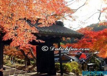 Tổng hợp kinh nghiệm du lịch Fukuoka siêu đầy đủ