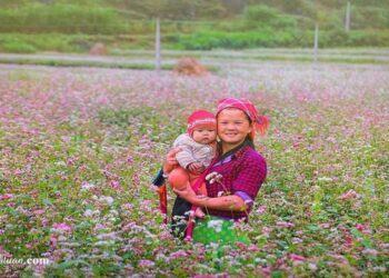 Du lịch Hà Giang tháng 11: Hấp dẫn đến mê mẩn