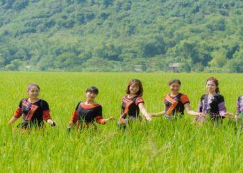 Du lịch Mai Châu Hòa Bình - Khám phá thung lũng xanh yên bình trong 2 ngày 1 đêm