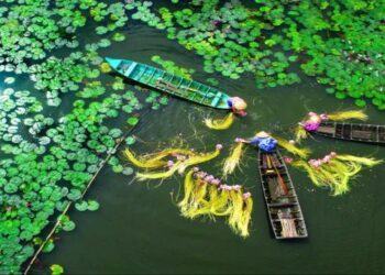 Bỏ túi kinh nghiệm phượt miền Tây MỚI NHẤT