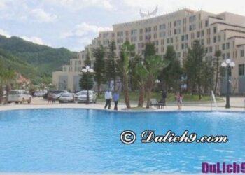 Kinh nghiệm du lịch Mộc Châu dịp tết âm lịch đáng nhớ