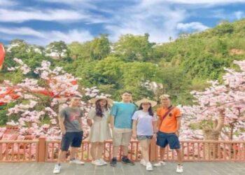 Kỳ nghỉ Mộc Châu tháng 2 - Trải nghiệm mùa hoa mận nở