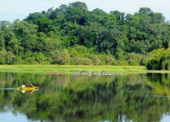 Kinh nghiệm đi phượt rừng Nam Cát Tiên: chi phí, ăn ở cực rẻ