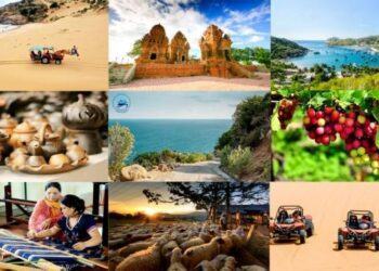 Tour Ninh Thuận: Lịch trình tour Phan Rang 3 ngày 2 đêm, 2 ngày 1 đêm