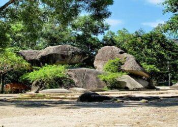 Du Lịch Hà Nội - Sầm Sơn: Khám Phá 2 Ngày 1 Đêm