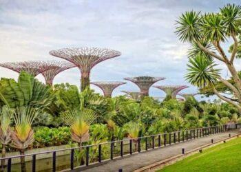 Khám Phá Quốc Đảo Sư Tử Biển Singapore trong 3 ngày 2 đêm từ Hà Nội