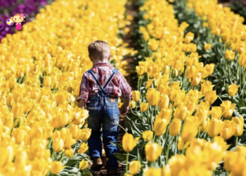 Du lịch Úc tháng 10: Chuyến hành trình đầy thú vị