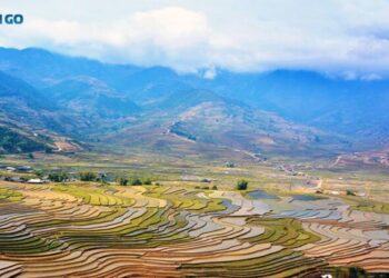 Kinh Nghiệm Du Lịch Văn Chấn Yên Bái Cực Chi Tiết Từ A – Z