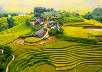 Tập làm hướng dẫn viên du lịch: Giới thiệu đất nước Việt Nam cho người thân