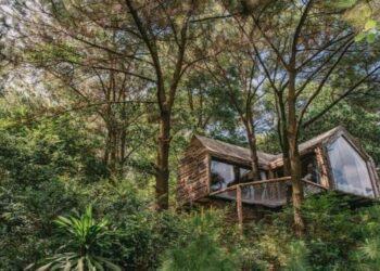 CHỌN LỌC 5 Homestay cắm trại gần Hà Nội đẹp Nhất