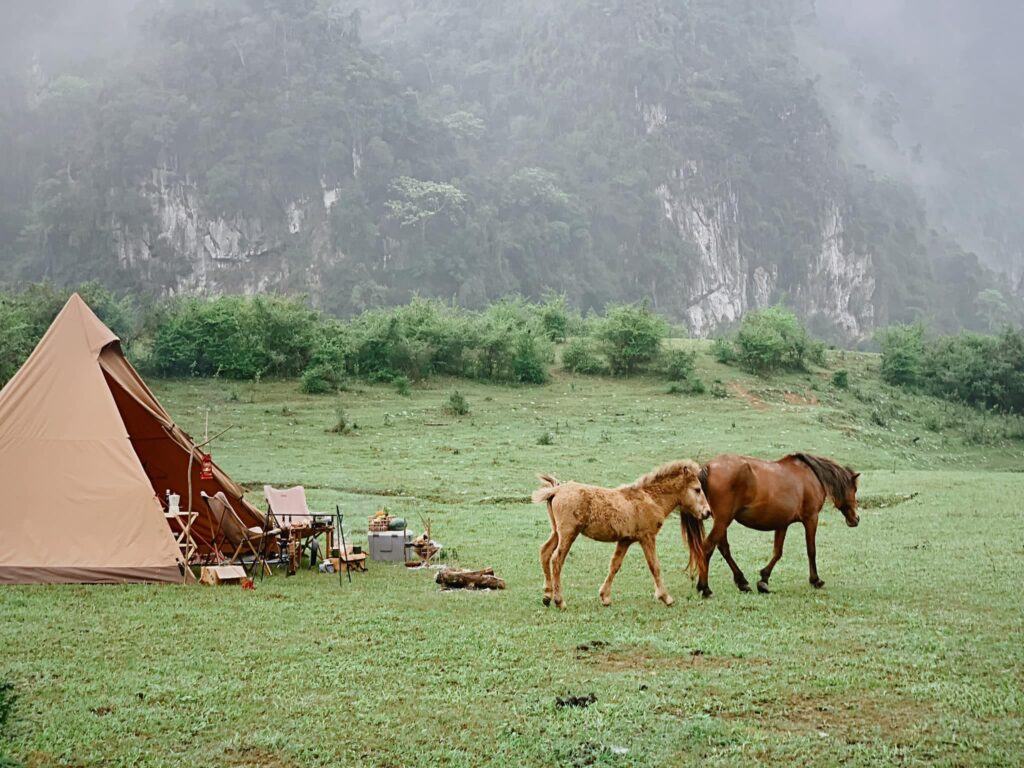 Nhất định phải đi camping vào mùa đông ở thảo nguyên Đồng Lâm (Lạng Sơn)