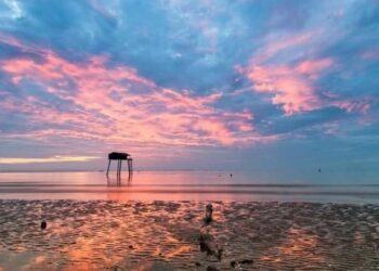 "Check-in" ngay biển Tân Thành - Điểm camping ở Tiền Giang dành cho tín đồ mê hải sản