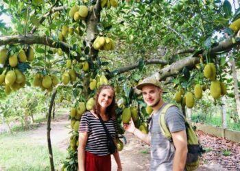 Kinh nghiệm khám phá khu du lịch Ba Láng Cần Thơ, cập nhật 2023