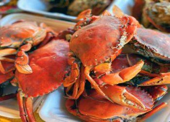 Tắm Biển Cồn Bửng Bến Tre ăn hải sản bao ngon bao rẻ